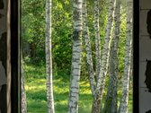 Gyventi Valakampiuose – tai mėgautis ramybe - nuotraukos Nr. 8