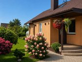 Parduodamas gyvenamas namas su žemės sklypu