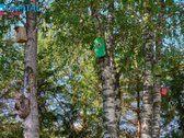 Parduodamos patalpos Gargžduose – išskirtinė - nuotraukos Nr. 23
