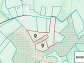  – Nt ekspertai be procentų - nuotraukos Nr. 2
