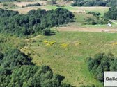  – Nt ekspertai be procentų - nuotraukos Nr. 8