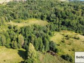  – Nt ekspertai be procentų - nuotraukos Nr. 10