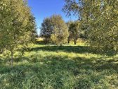 Parduodamas 20 arų sklypas, esantis Rokiškio - nuotraukos Nr. 9