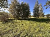 Parduodamas 20 arų sklypas, esantis Rokiškio - nuotraukos Nr. 10