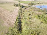 Didelis (3 ha) gyvenamosios paskirties žemės - nuotraukos Nr. 5