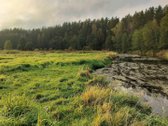 Prie Žeimenos Upės Parduodama Sodyba Su 24,66 - nuotraukos Nr. 22