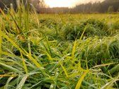 Prie Žeimenos Upės Parduodama Sodyba Su 24,66 - nuotraukos Nr. 19