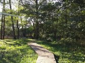 Prie Žeimenos Upės Parduodama Sodyba Su 24,66 - nuotraukos Nr. 21