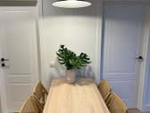 Nuomojamas šviesus ir stilingas 2 kambarių - nuotraukos Nr. 3