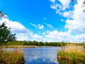 Erdvus Namas Prie Pat Zarasų Su 60 M Lazdinio - nuotraukos Nr. 3