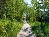 "Kopos žuvėdra“ – pušyne, arčiausiai jūros - nuotraukos Nr. 17
