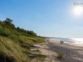 "Kopos žuvėdra“ – pušyne, arčiausiai jūros - nuotraukos Nr. 19