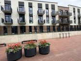 Kaštonų apartamentai – tai naujas, modernus - nuotraukos Nr. 5