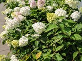 Parduodamas 3 Kambarių Butas Žirmūnuose, - nuotraukos Nr. 2