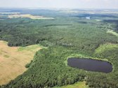 Parduodamas unikalus gamtos kampelis - žemės - nuotraukos Nr. 9