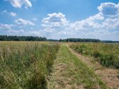 Parduodamas unikalus gamtos kampelis - žemės - nuotraukos Nr. 26