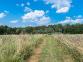 Parduodamas unikalus gamtos kampelis - žemės - nuotraukos Nr. 27