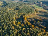 Parduosime sklypo dalį tiems, kurių vertybės - nuotraukos Nr. 3