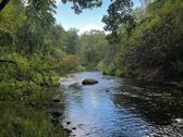 Parduosime sklypo dalį tiems, kurių vertybės - nuotraukos Nr. 5