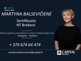 Parduodamas Jaukus Ir Labai Tvarkingas Sodo - nuotraukos Nr. 20