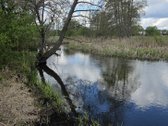 Parduodamas 71 A Namų Valdos Sklypas Prie - nuotraukos Nr. 3
