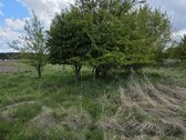 Parduodamas 71 A Namų Valdos Sklypas Prie - nuotraukos Nr. 6