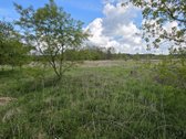 Parduodamas 71 A Namų Valdos Sklypas Prie - nuotraukos Nr. 8