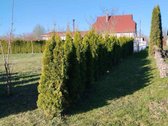 1-grežinįs 5000€ - nuotraukos Nr. 9
