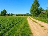Tvarkingas, Išvalytas Sklypas Su Namu – 9 Km - nuotraukos Nr. 4