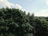 Parduodamas nestandartinis 1 kambario butas, - nuotraukos Nr. 11