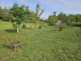 Parduodamas 6 a ploto sodo sklypas Joniškio - nuotraukos Nr. 2