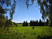 Parduodamas Namas Su Erdviu Sklypu Šalia Upės - nuotraukos Nr. 17