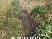 Parduodamas Naujos Statybos A++ 145m² Namas - nuotraukos Nr. 11