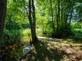 Jaukumu Ir Unikaliu Šarmu Pasižyminti Sodyba - nuotraukos Nr. 16