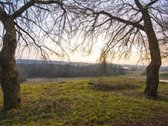 Verbiškių miestelyje, Molėtų rajone, - nuotraukos Nr. 12