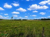 Parduodamas 72 Arų Žemės Sklypas Žiūrų K., - nuotraukos Nr. 4