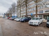 Verta Žinoti - nuotraukos Nr. 13