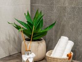 Parduodamas Jaukiai Įrengtas 2 Kambarių Butas - nuotraukos Nr. 27