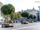 Patalpos įsikūrusios žavioje Senamiesčio - nuotraukos Nr. 17