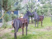 Modernus ir Jaukus 1 kambario butas Palangoje - nuotraukos Nr. 26