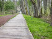 Modernus ir Jaukus 1 kambario butas Palangoje - nuotraukos Nr. 27