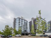 Šventojoje, garsiame poilsio apartamentų - nuotraukos Nr. 38