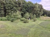 Parduodama sodyba su 6,9 ha žemės sklypu - nuotraukos Nr. 11