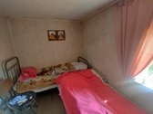 Vaiteliuose Šalpusnių ramioje gatvėje - nuotraukos Nr. 8