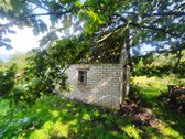 Vaiteliuose Šalpusnių ramioje gatvėje - nuotraukos Nr. 11