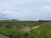 Parduodamas 2,19 ha (219 a) žemės ūkio - nuotraukos Nr. 4