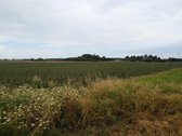 Parduodamas 2,19 ha (219 a) žemės ūkio - nuotraukos Nr. 5