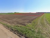 Parduodamas 2,19 ha (219 a) žemės ūkio - nuotraukos Nr. 6