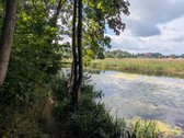 Parduodamas 0,62 ha rekreacinės paskirties - nuotraukos Nr. 5