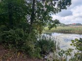 Parduodamas 0,62 ha rekreacinės paskirties - nuotraukos Nr. 8